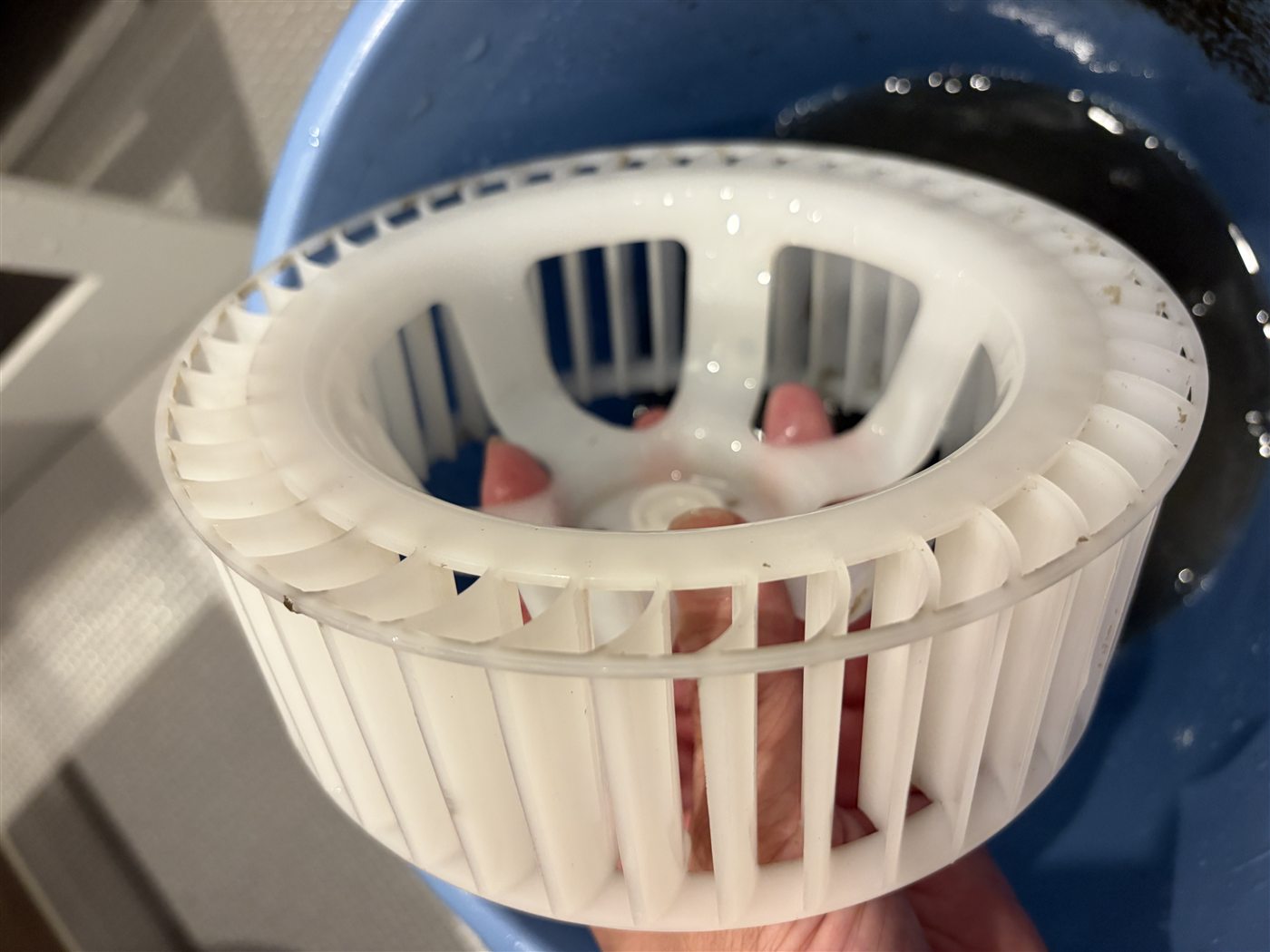 洗浄後にきれいになった浴室換気扇のファン部品