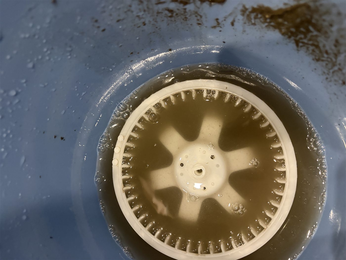 洗浄で落ちた汚れが水に出ている様子