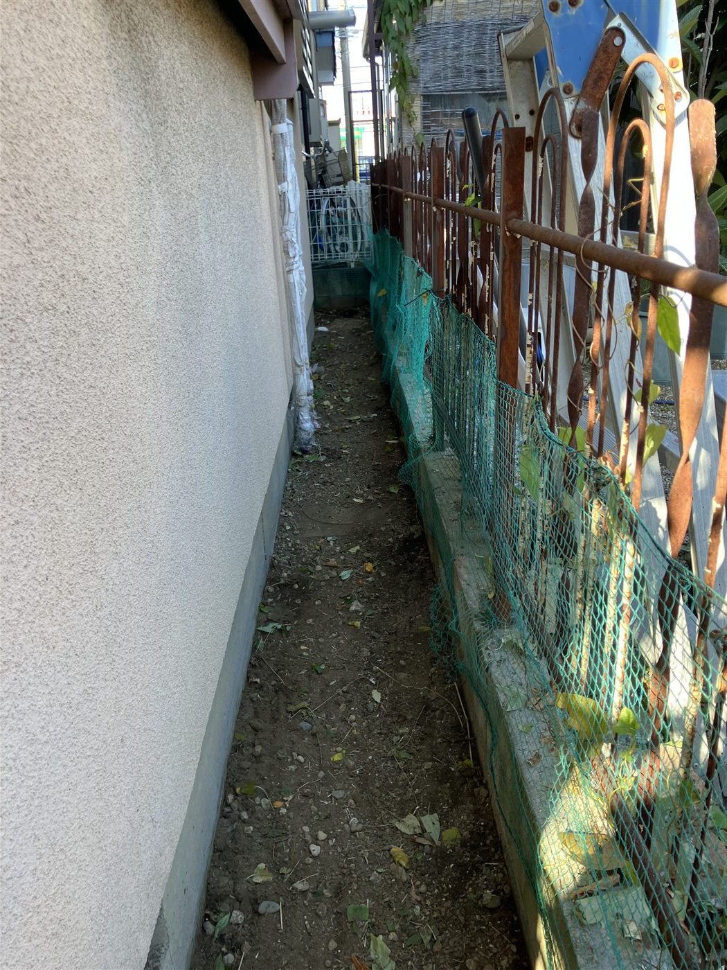 雑草除去後に奥まで通路が見通せるようになった建物裏の写真